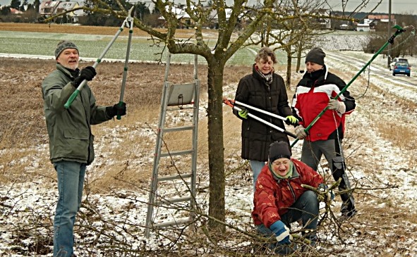 OV Langenzenn beim Obstbaumschnitt