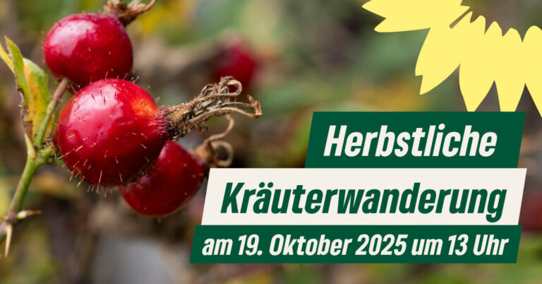 Herbstliche Kräuterwanderung am Dillenberg am 19.10.25 um 13 Uhr