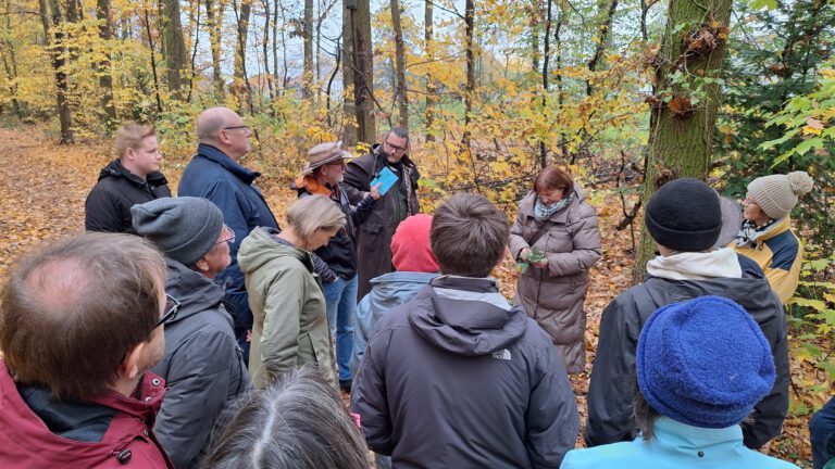 Warum wir unsere Bäume, Grünflächen und Wälder brauchen